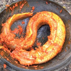 Resep Masak Belut Kuah: Hidangan Lezat dan Menggugah Selera Resep Masak Belut Kuah: Hidangan Lezat dan Menggugah Selera