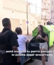 Encerró al perro en el auto, su mascota murió y ella quedó detenida Encerró al perro en el auto, su mascota murió y ella quedó detenida