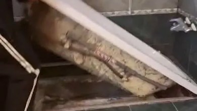 Detienen a un prófugo que se ocultaba debajo de un jacuzzi Detienen a un prófugo que se ocultaba debajo de un jacuzzi