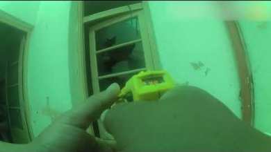 Usan la pistola Taser para detener a un hombre que intentaba suicidarse Usan la pistola Taser para detener a un hombre que intentaba suicidarse