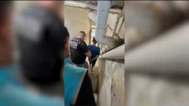 Cayó «el chikunguña», el cómplice de «el dengue» Cayó «el chikunguña», el cómplice de «el dengue»