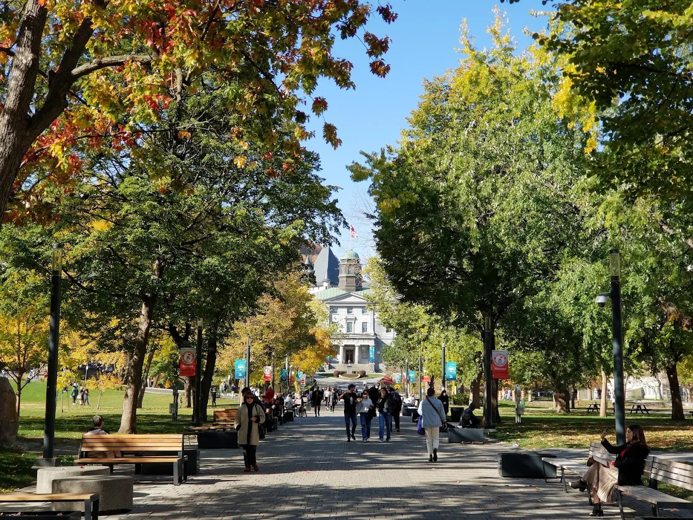 Fully Funded McGill University Scholarships 2026-2027, Canada Fully Funded McGill University Scholarships 2026-2027, Canada