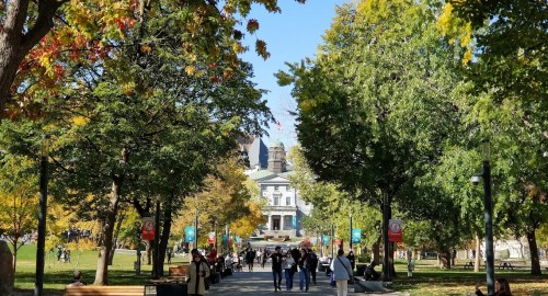 Fully Funded McGill University Scholarships 2026-2027, Canada Fully Funded McGill University Scholarships 2026-2027, Canada