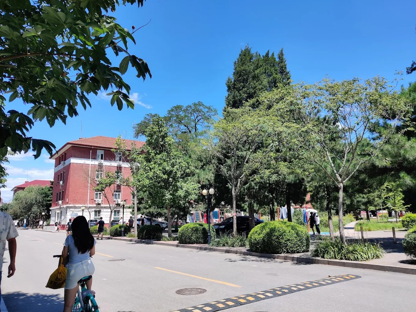 Fully Funded CSC Silk Road Scholarship at China Agricultural University 2027 Fully Funded CSC Silk Road Scholarship at China Agricultural University 2027