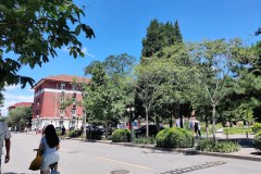 Fully Funded CSC Silk Road Scholarship at China Agricultural University 2027 Fully Funded CSC Silk Road Scholarship at China Agricultural University 2027