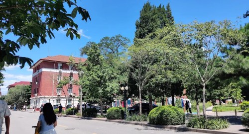 Fully Funded CSC Silk Road Scholarship at China Agricultural University 2027 Fully Funded CSC Silk Road Scholarship at China Agricultural University 2027