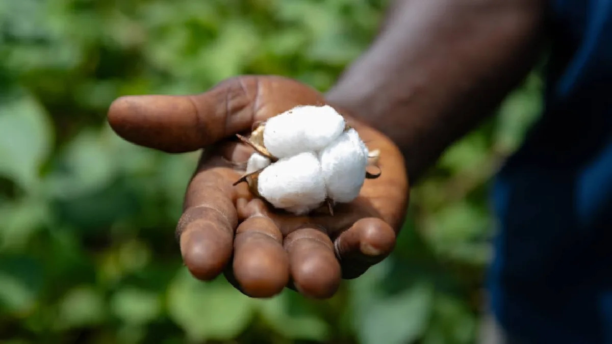 OVS partners with CmiA to boost traceability in textile supply chain OVS partners with CmiA to boost traceability in textile supply chain