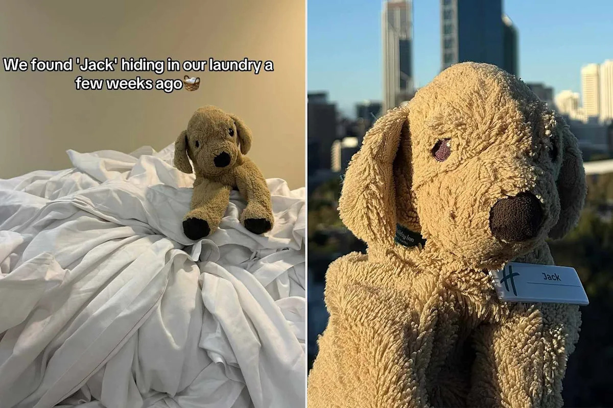 A Child Left Their Stuffed Animal Behind at a Holiday Inn. Then the Staff’s Attempts to Find Its Owner Went Viral A Child Left Their Stuffed Animal Behind at a Holiday Inn. Then the Staff’s Attempts to Find Its Owner Went Viral