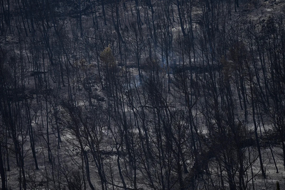 Firefighters battle to prevent reignition of France’s largest wildfire as residents return home Firefighters battle to prevent reignition of France’s largest wildfire as residents return home