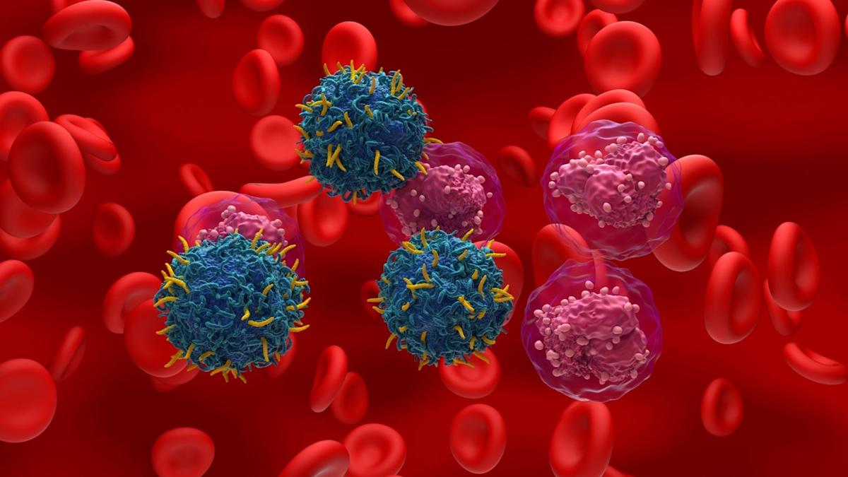 Porton Advanced and EVA Pharma collaborate for CAR T-cell therapies Porton Advanced and EVA Pharma collaborate for CAR T-cell therapies