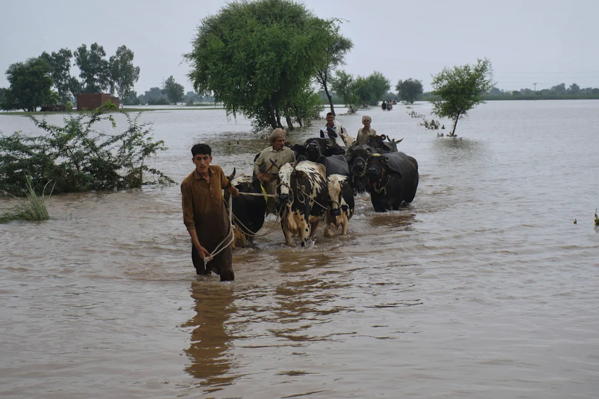 Pakistan’s Punjab faces biggest floods in its history, affecting 2 million people Pakistan’s Punjab faces biggest floods in its history, affecting 2 million people