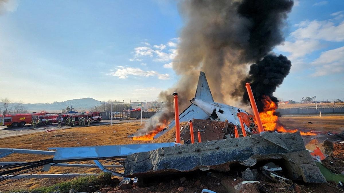 Eyewitnesses to South Korea plane crash recount sparks in engine, bird strike before collision Eyewitnesses to South Korea plane crash recount sparks in engine, bird strike before collision