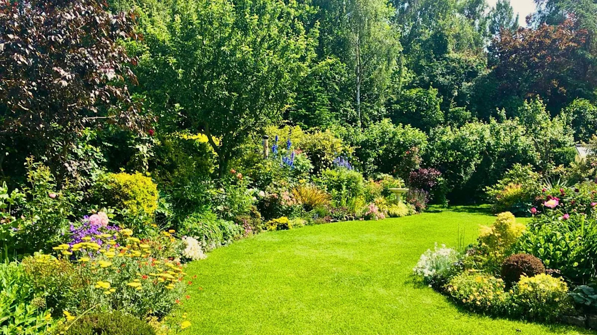 The Easy-To-Grow Shrub With Evergreen Foliage That’s Perfect For Your Border Garden The Easy-To-Grow Shrub With Evergreen Foliage That’s Perfect For Your Border Garden