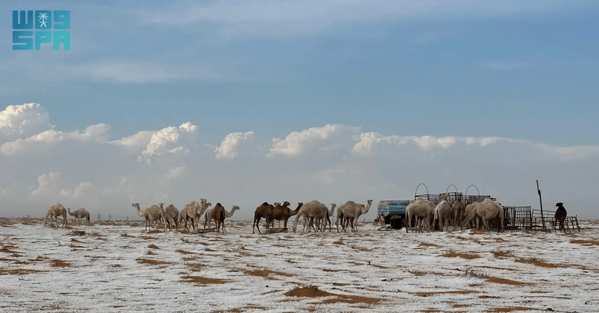Photos: Hail blankets Saudi Arabian desert creating winter-like landscape Photos: Hail blankets Saudi Arabian desert creating winter-like landscape