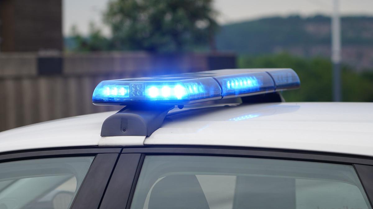 Four arrested after protests at defence firm Four arrested after protests at defence firm