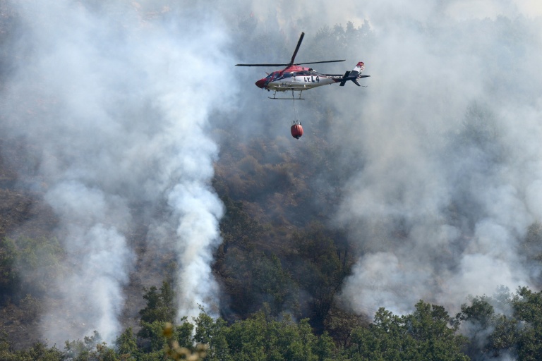 Spain to launch biggest forest fire campaign after record losses: PM Spain to launch biggest forest fire campaign after record losses: PM