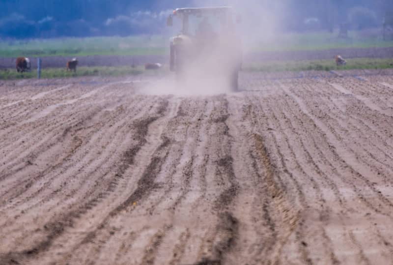 Experts warn Germany’s debt could rise without more climate action Experts warn Germany’s debt could rise without more climate action