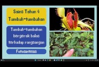 Tumbuhan Bisa Bergerak Sendiri Tanpa Sentuhan Tumbuhan Bisa Bergerak Sendiri Tanpa Sentuhan