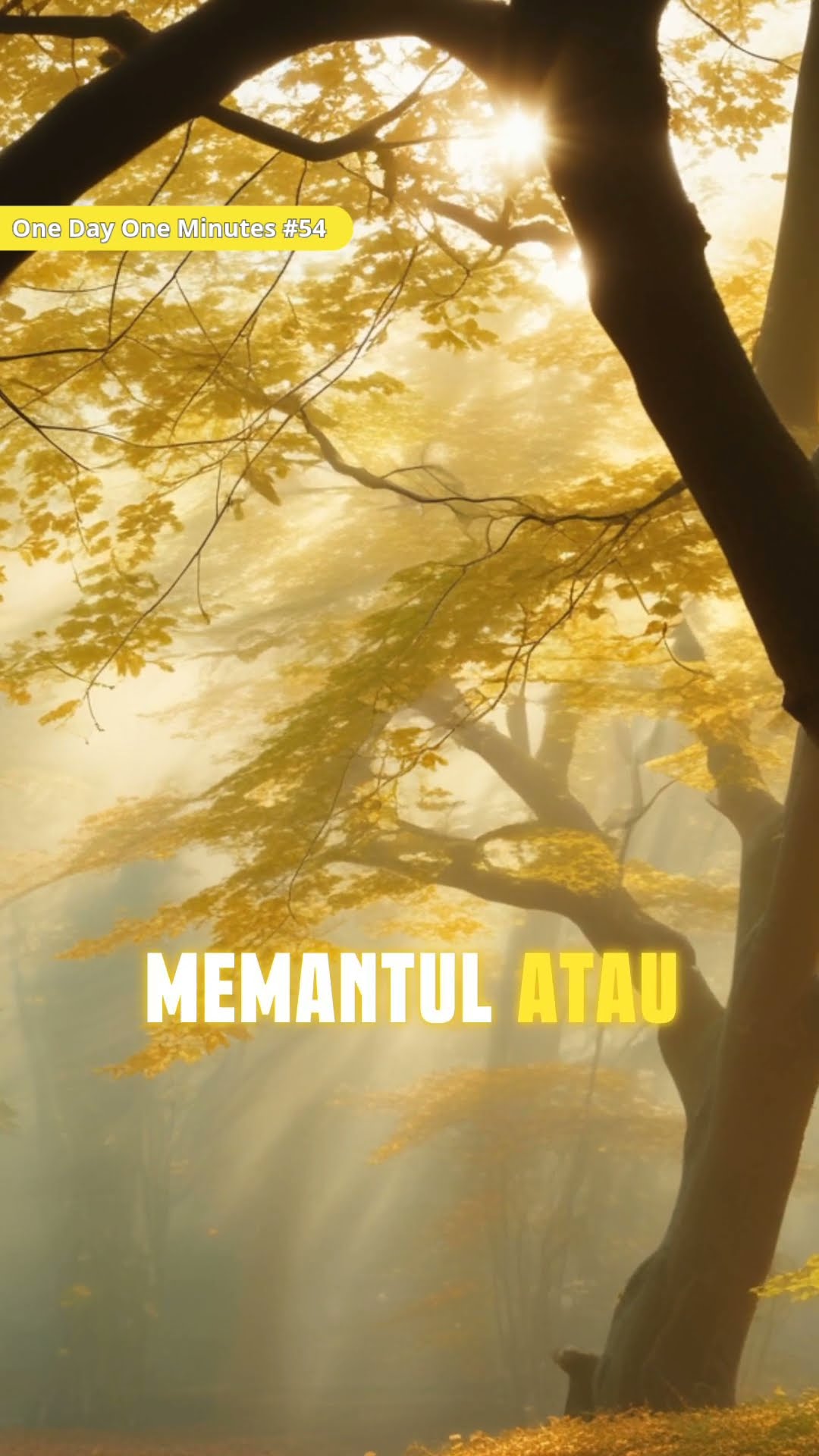 Kenapa Kita Tidak Bisa Melihat Udara Kenapa Kita Tidak Bisa Melihat Udara