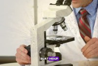 Hewan Yang Bisa Hidup Tanpa Oksigen Hewan Yang Bisa Hidup Tanpa Oksigen