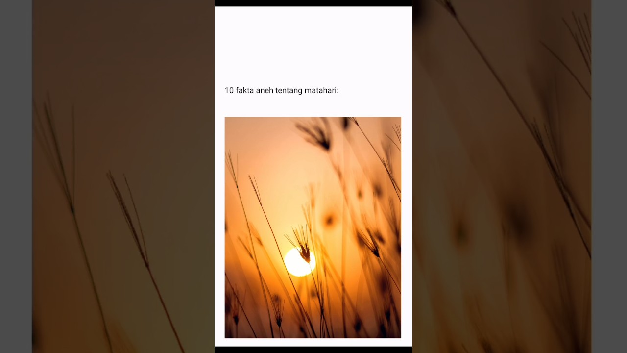 Fakta Aneh Tentang Cahaya Matahari Fakta Aneh Tentang Cahaya Matahari