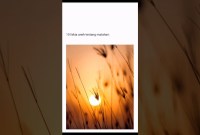 Fakta Aneh Tentang Cahaya Matahari Fakta Aneh Tentang Cahaya Matahari