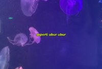 Kenapa Ada Hewan Yang Bisa Bercahaya Kenapa Ada Hewan Yang Bisa Bercahaya