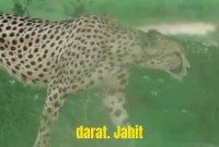 Ilmu Alam Yang Belum Kamu Ketahui Ilmu Alam Yang Belum Kamu Ketahui