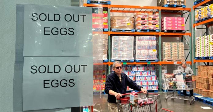 Wyoming Reports First Human Bird Flu Case; Total Reaches 70 Across 13 States Wyoming Reports First Human Bird Flu Case; Total Reaches 70 Across 13 States