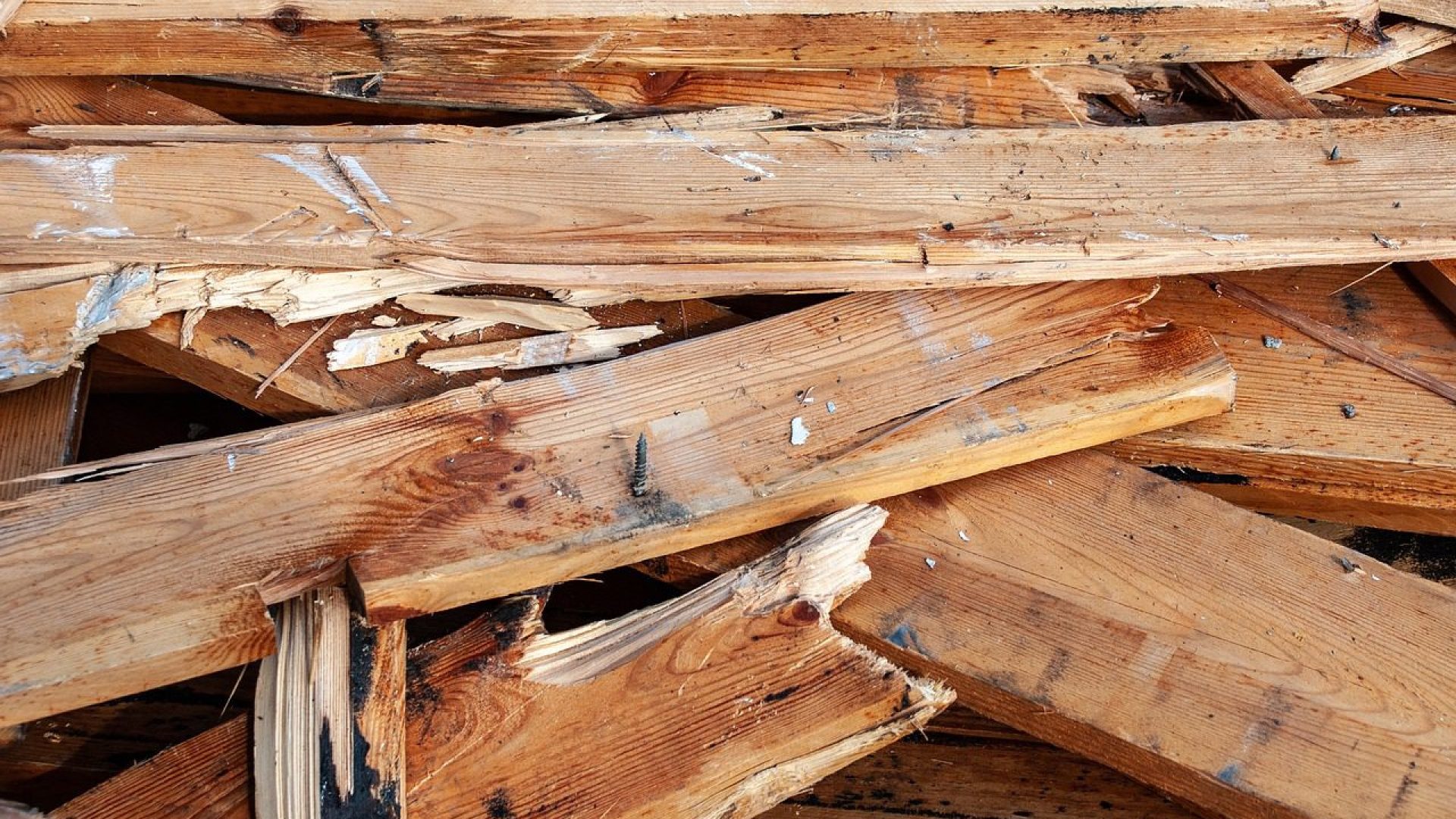 Why Have A Wood Floor Water Damage Repair? Why Have A Wood Floor Water Damage Repair?