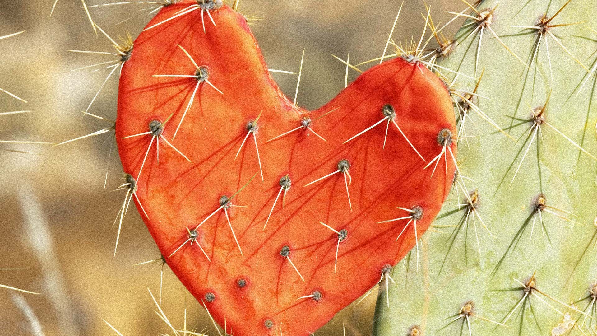 5 Significant Signs Your Relationship With McDonald’s Is Toxic: Are You Ready to Break Up? 5 Significant Signs Your Relationship With McDonald’s Is Toxic: Are You Ready to Break Up?