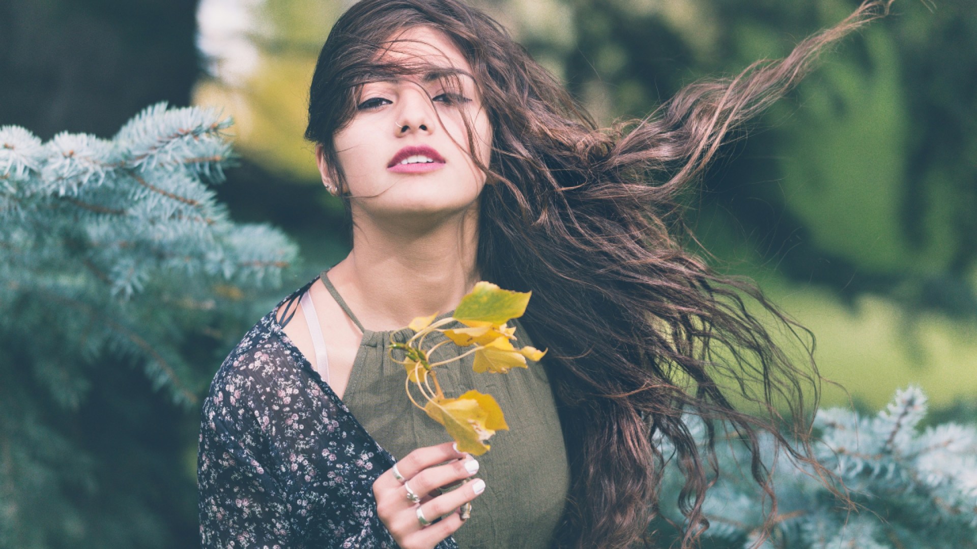 Bipolar Disorder In Ladies Bipolar Disorder In Ladies
