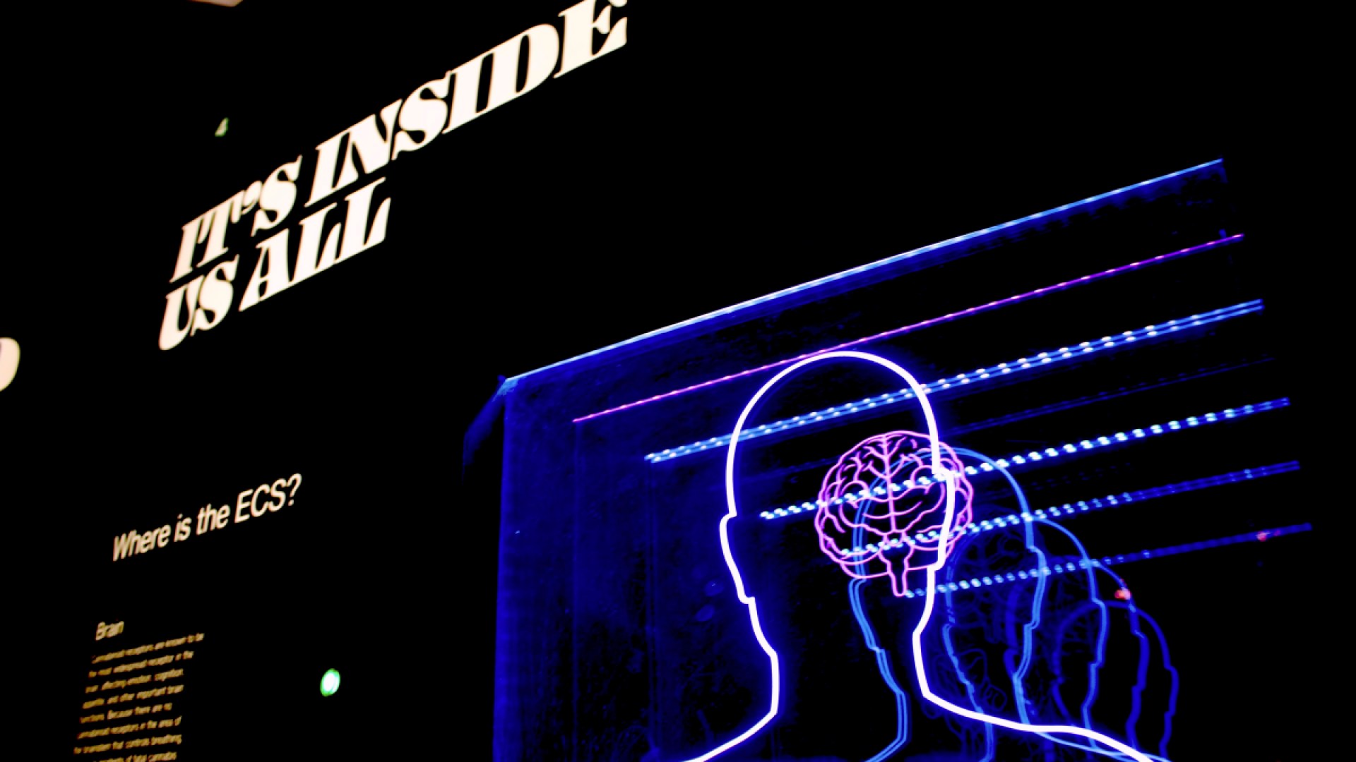 Eight Ways to Instantly Start Selling Theory of Mind and Self Awareness Ai Eight Ways to Instantly Start Selling Theory of Mind and Self Awareness Ai