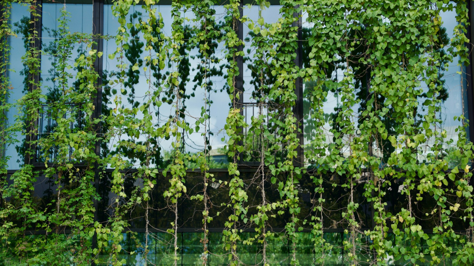 10 Stunning Vertical Garden Designs for Small Spaces: Transform Your Urban Oasis 10 Stunning Vertical Garden Designs for Small Spaces: Transform Your Urban Oasis
