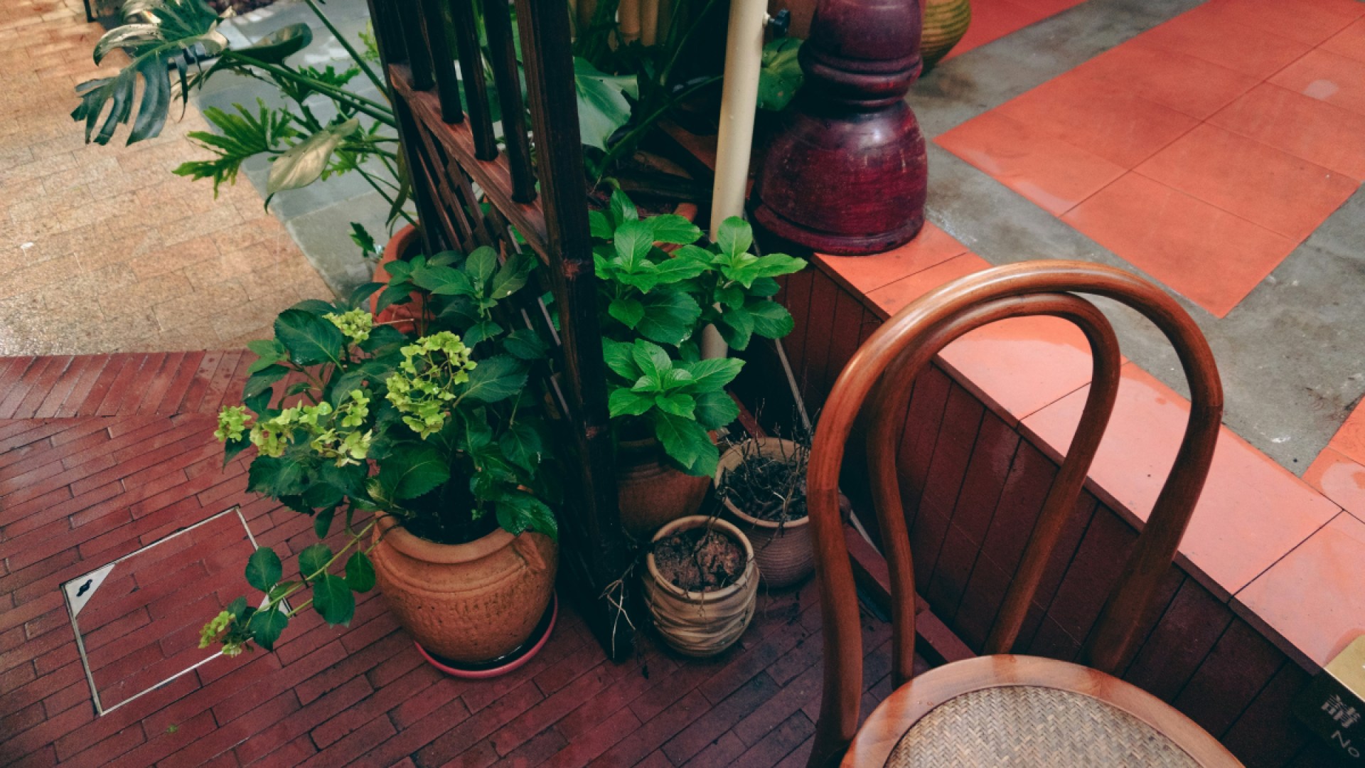 Why Almost All The Pieces You’ve Got Discovered About Are Home Gardens Good For The Environment Is Incorrect And What You Need To Know Why Almost All The Pieces You’ve Got Discovered About Are Home Gardens Good For The Environment Is Incorrect And What You Need To Know