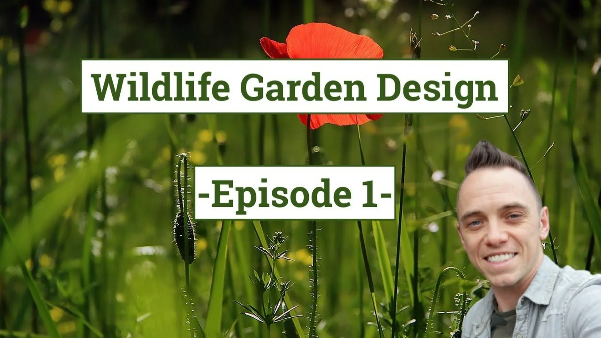 The Reason For Wildlife Garden Ideas And Wildlife Landscaping Ideas The Reason For Wildlife Garden Ideas And Wildlife Landscaping Ideas