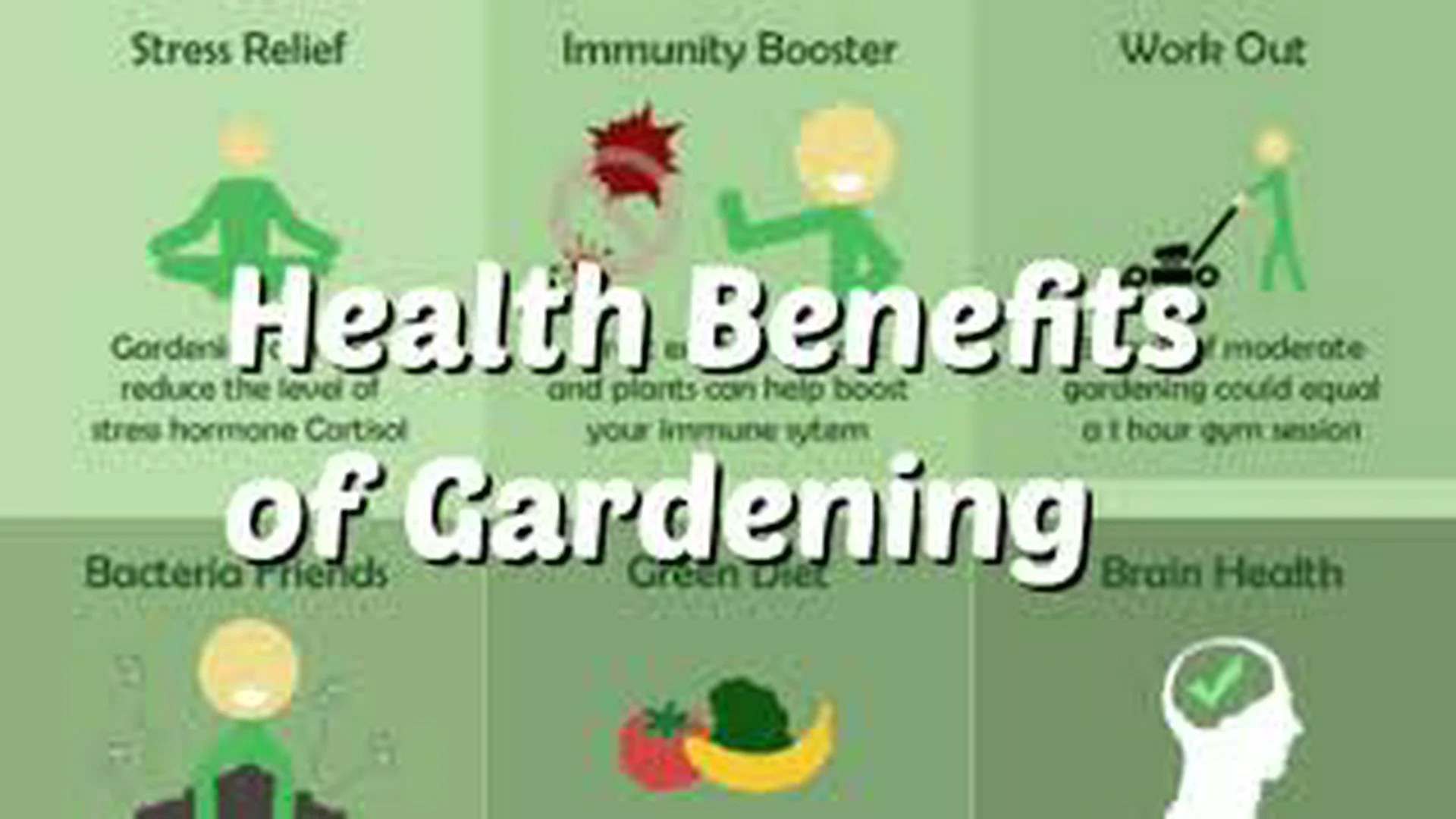 What You Can Do About Are Home Gardens Good For The Environment Starting In The Next Ten Minutes What You Can Do About Are Home Gardens Good For The Environment Starting In The Next Ten Minutes