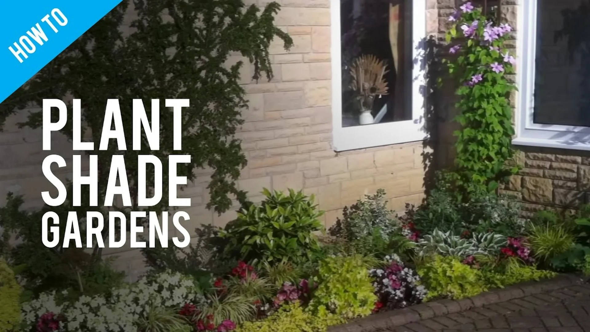 Unveiling the Secrets: How to Plant a Shade Garden and Design Ideas to Transform Your Yard Unveiling the Secrets: How to Plant a Shade Garden and Design Ideas to Transform Your Yard