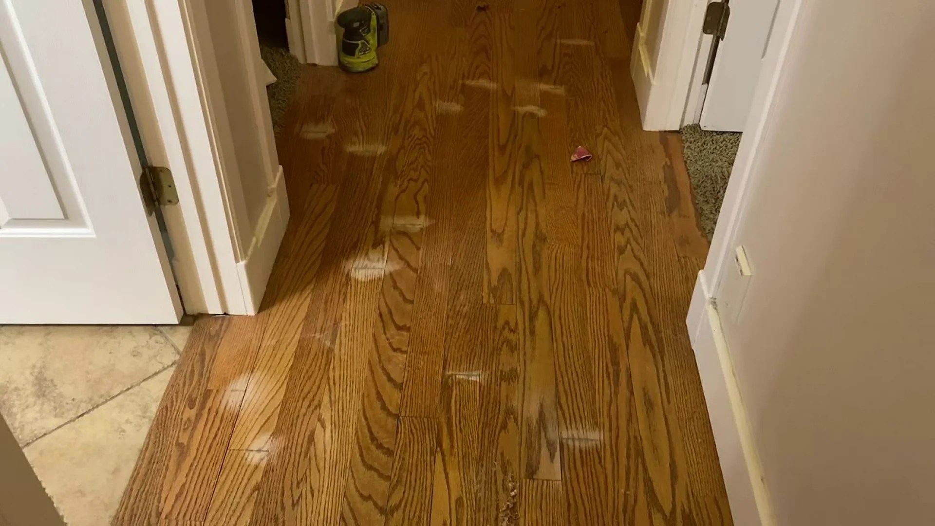 9 Questions Answered About How To Prevent Mold In House 9 Questions Answered About How To Prevent Mold In House