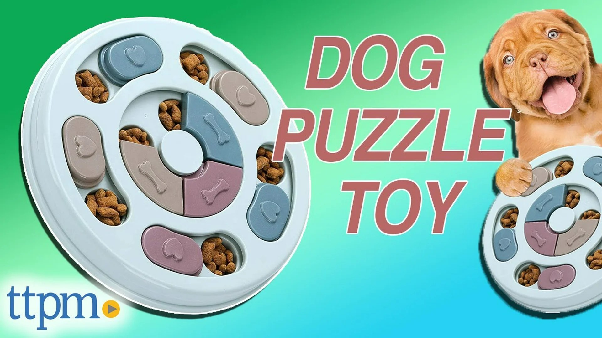 Top Unique Gadgets For You to Play With Your Dogs in the Morning Top Unique Gadgets For You to Play With Your Dogs in the Morning