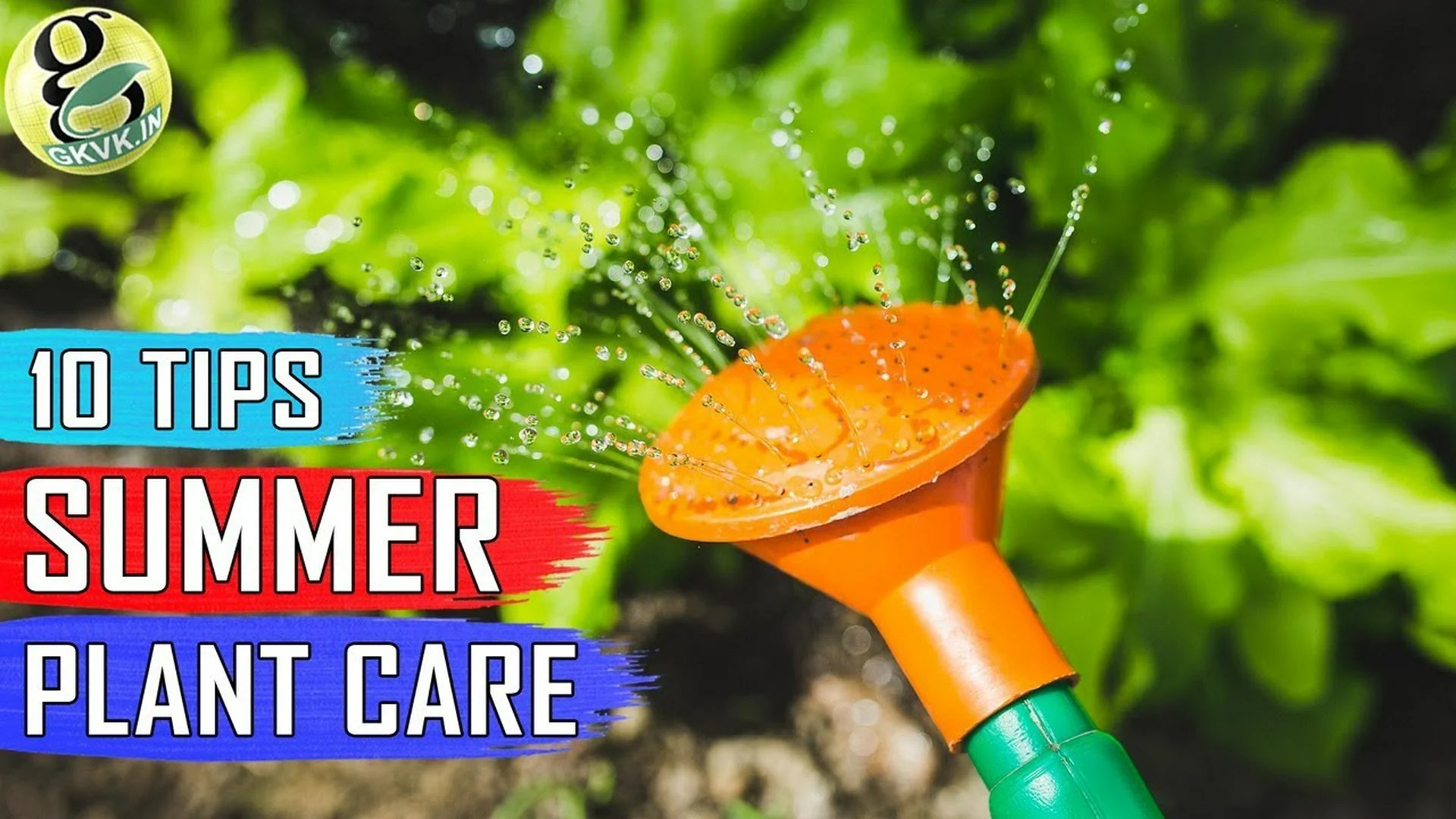 Gardening Ideas For Summer – How to Make Your Garden a Success Gardening Ideas For Summer – How to Make Your Garden a Success