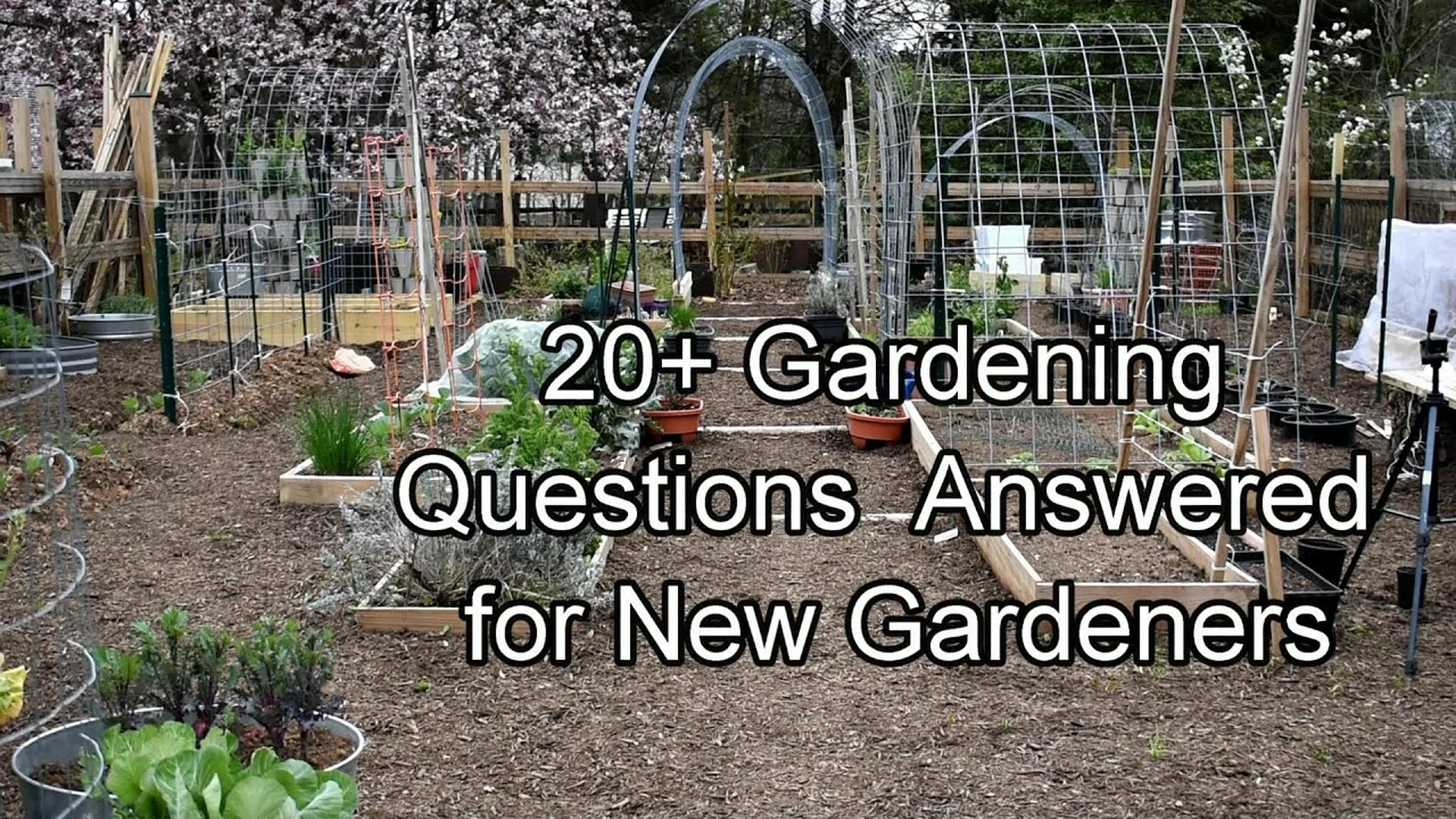 How to Ask Gardener Questions and Get the Best Garden Answers How to Ask Gardener Questions and Get the Best Garden Answers