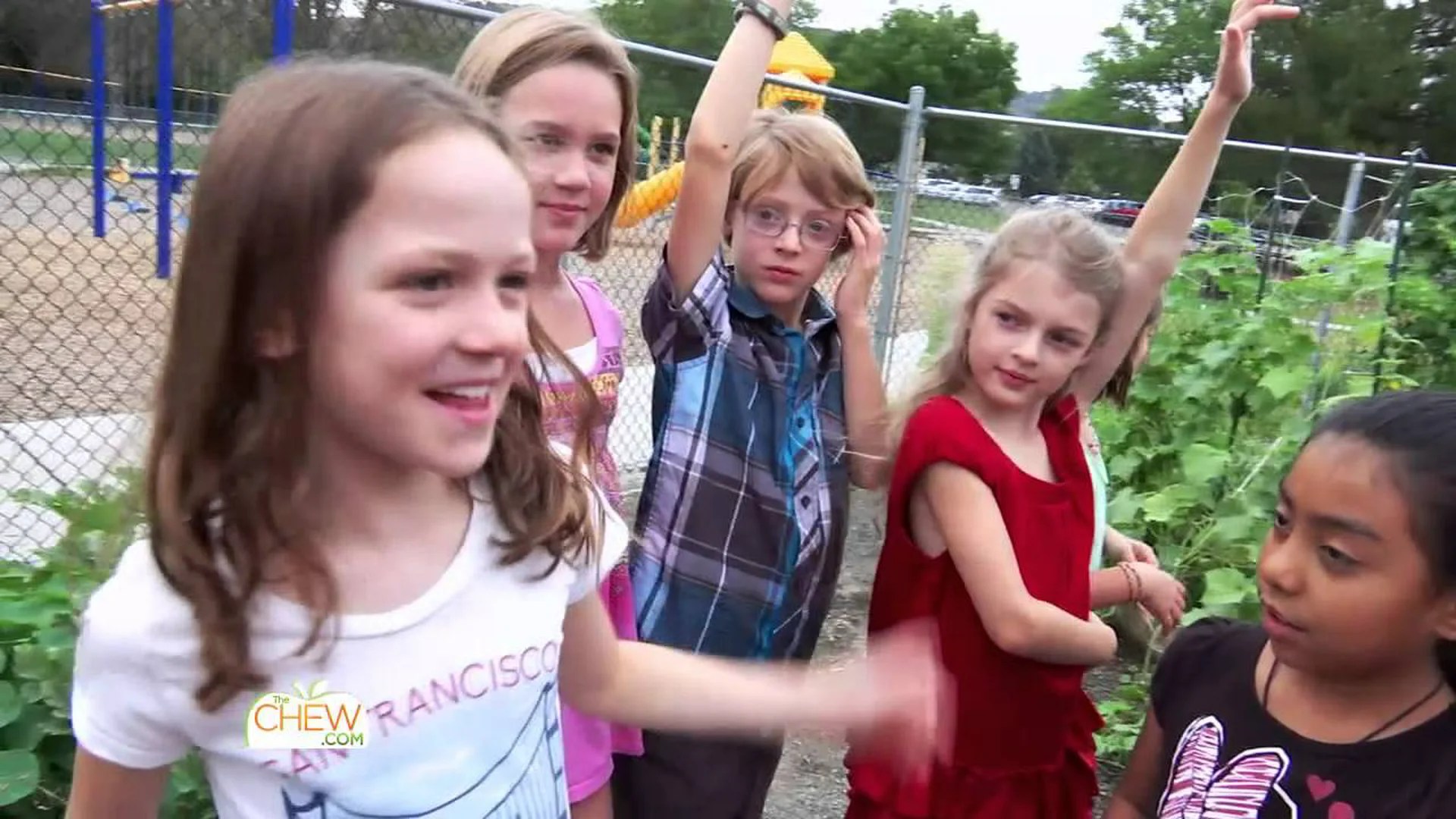 What Is a Healthy School Lunch? What Is a Healthy School Lunch?