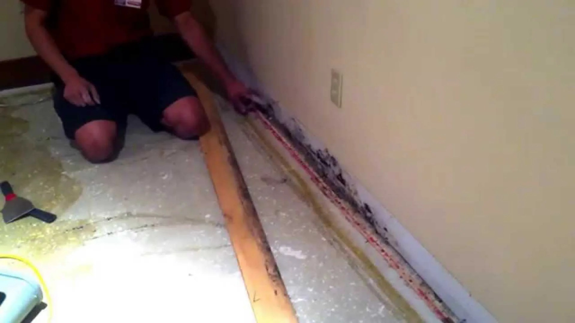 How one can Take the Headache Out of Repair Wood Floor Water Damage How one can Take the Headache Out of Repair Wood Floor Water Damage