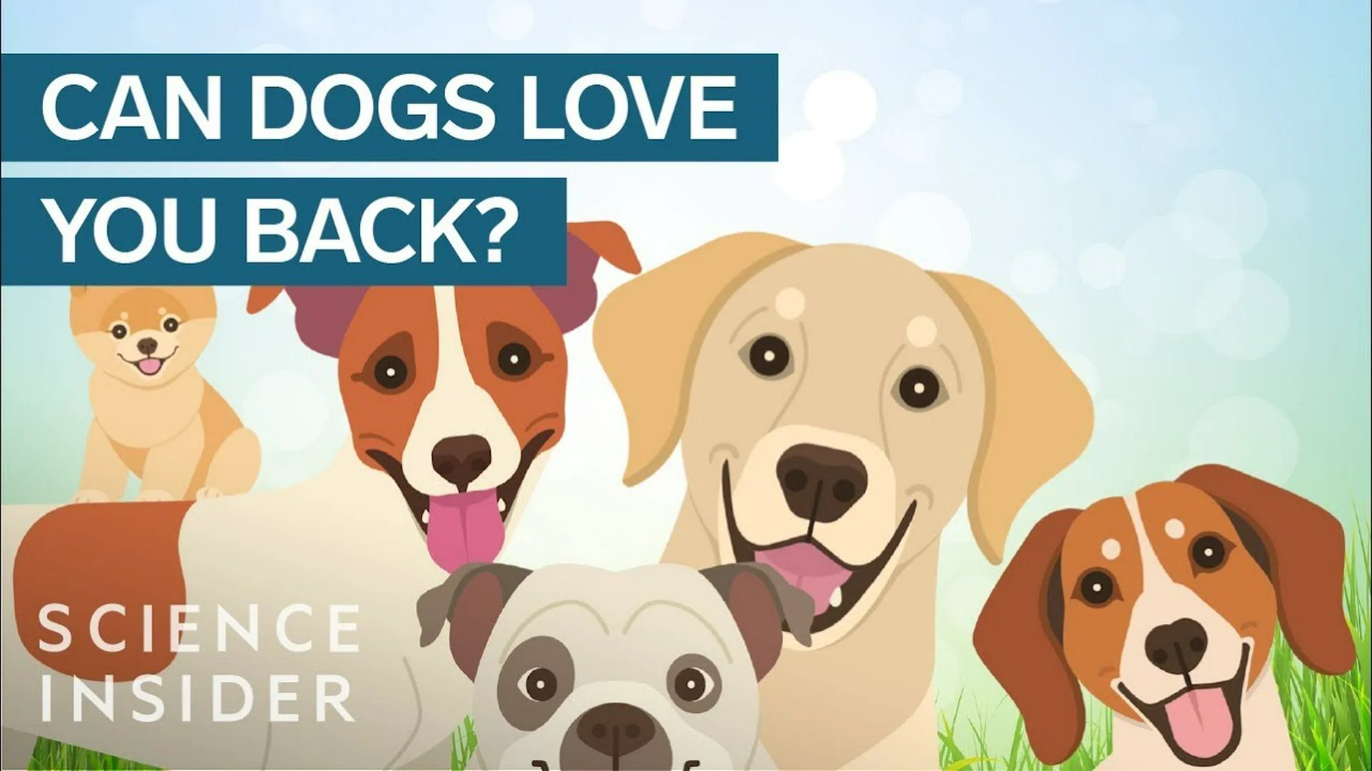 Is Your Pet Really Connecting with You Every Moment of Your Life? Is Your Pet Really Connecting with You Every Moment of Your Life?