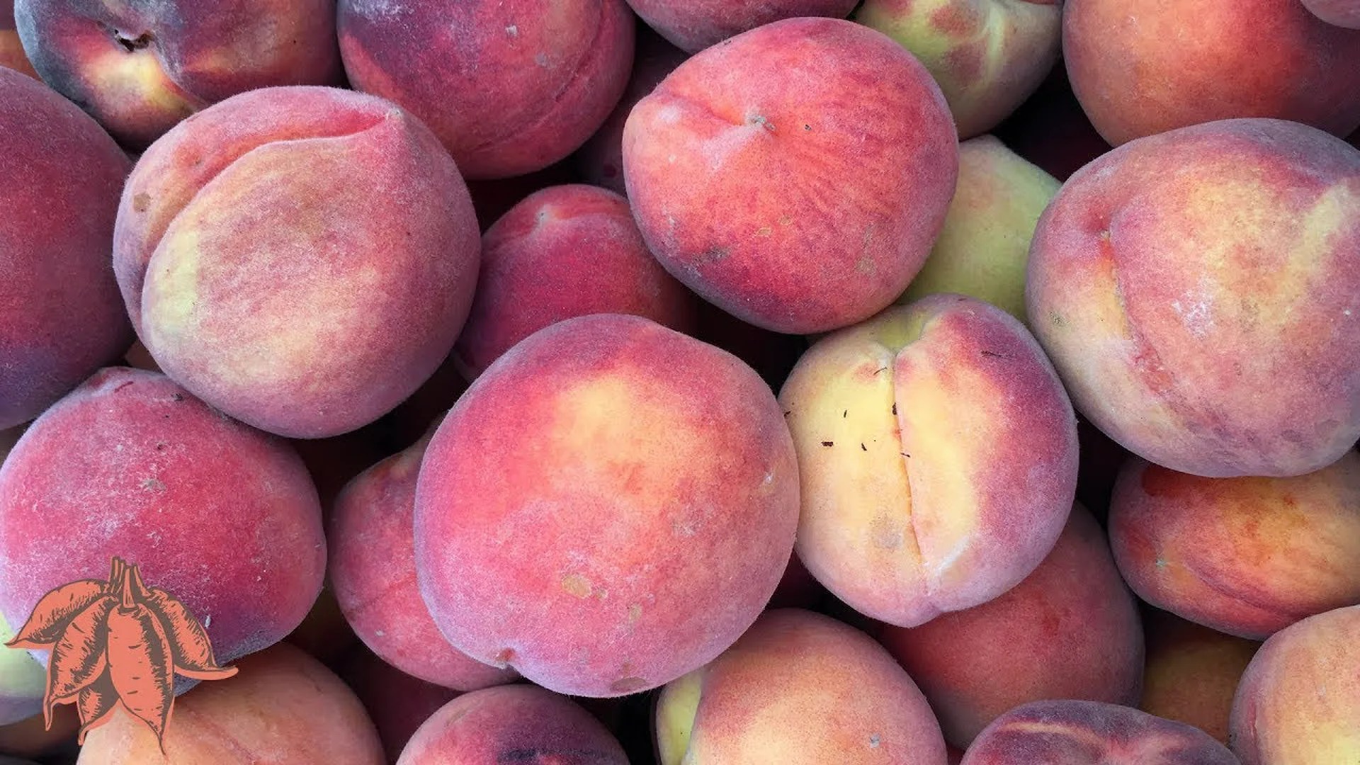 5 Foods You Should Eat Everyday 5 Foods You Should Eat Everyday