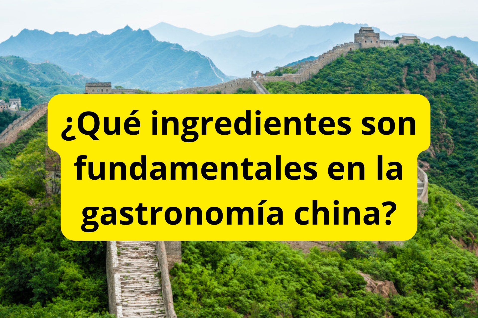 ¿Qué ingredientes son fundamentales en la gastronomía china? ¿Qué ingredientes son fundamentales en la gastronomía china?