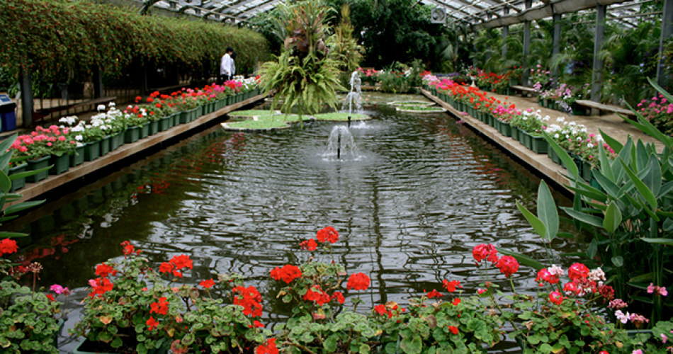 Discover Seoul Botanic Park: A Greenhouse in the Middle of the City Discover Seoul Botanic Park: A Greenhouse in the Middle of the City