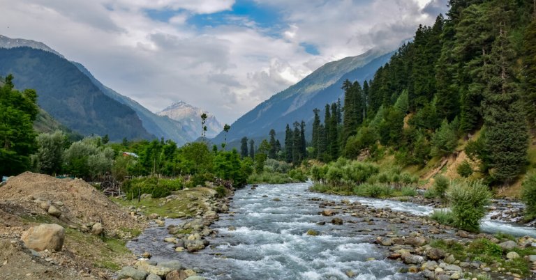 Victims and Eyewitnesses in Kashmir Attack Describe Scenes of Chaos and Horror Victims and Eyewitnesses in Kashmir Attack Describe Scenes of Chaos and Horror
