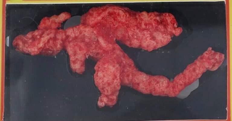 A Cheeto Shaped Like the Pokemon Charizard Sells for Nearly ,000 A Cheeto Shaped Like the Pokemon Charizard Sells for Nearly ,000